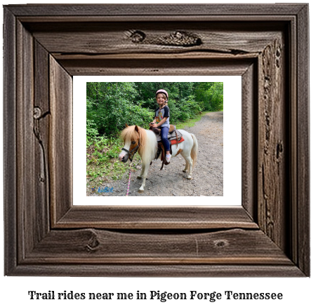 trail rides near me in Pigeon Forge, Tennessee